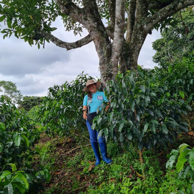 Café Nanolote -Papayo Honey - Finca San Alejandria