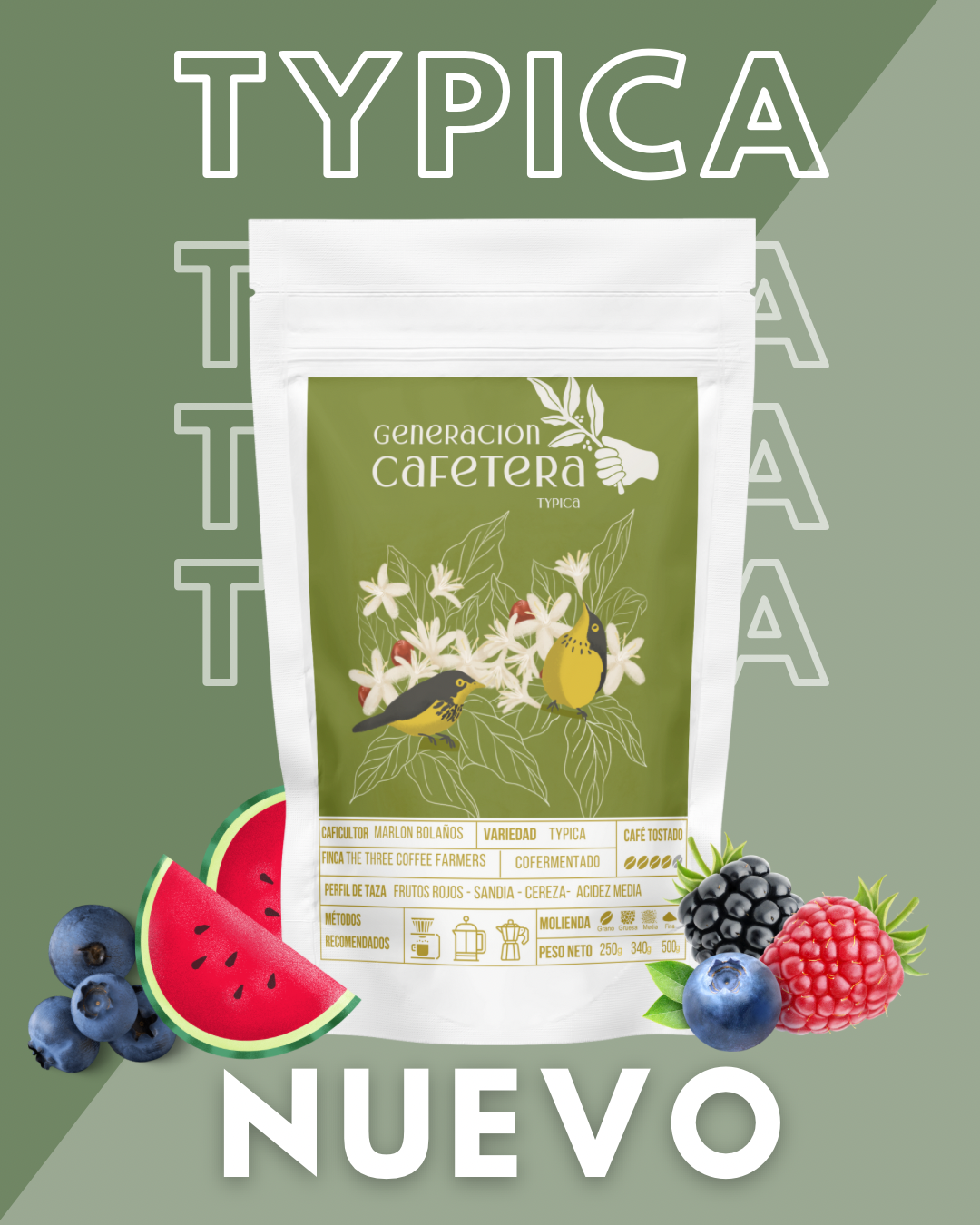 Typica Finca The Tree Coffee Farmer