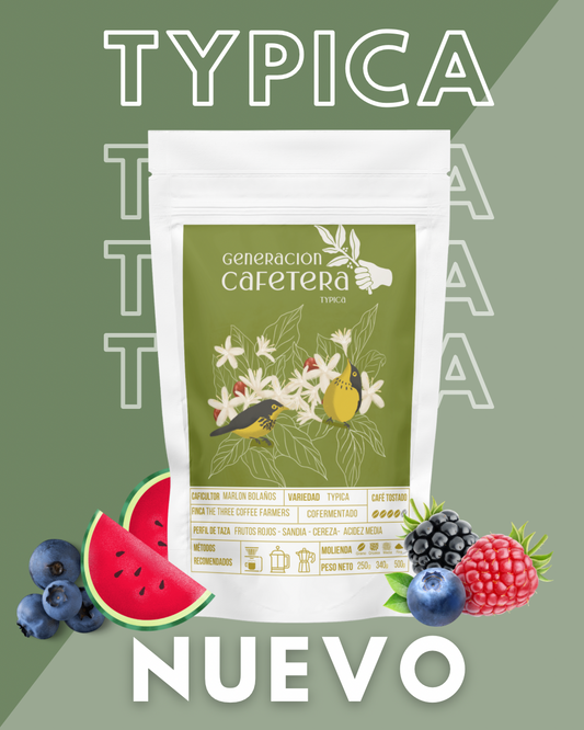 Typica Finca The Tree Coffee Farmer