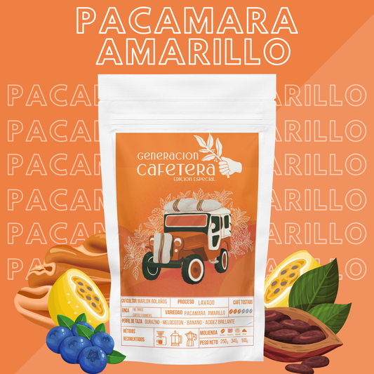 Pacamara Amarillo