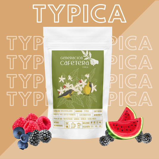 Café Typica - Finca Anaya