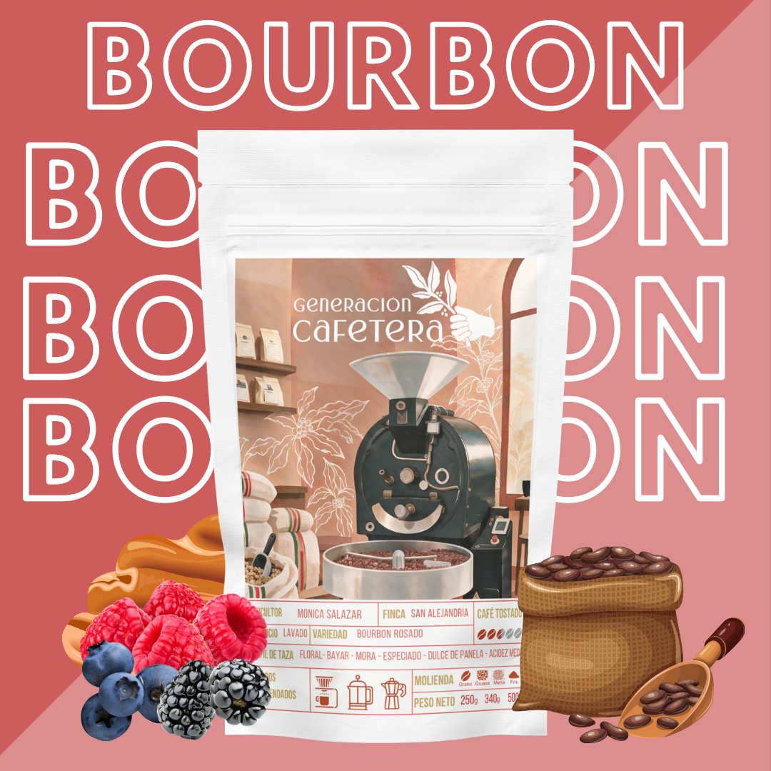 Café Bourbon Espresso - Finca San Alejandria