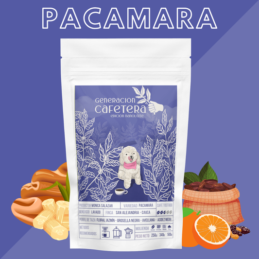 Café Nanolote - Pacamara